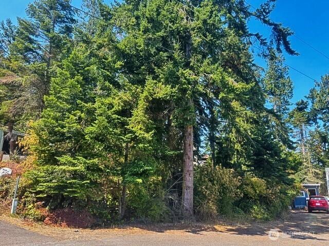 0 Spring View Park, Sequim, WA 98382 - photo 1