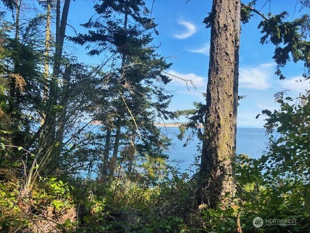 0 Spring View Park, Sequim, WA 98382 - photo 3