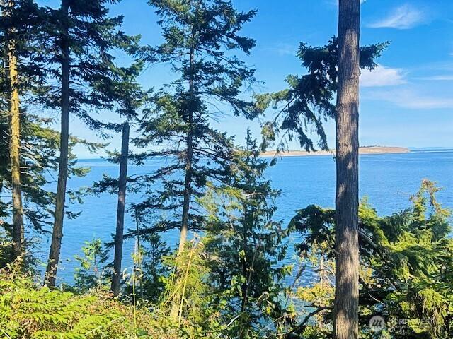 0 Spring View Park, Sequim, WA 98382 - photo 4