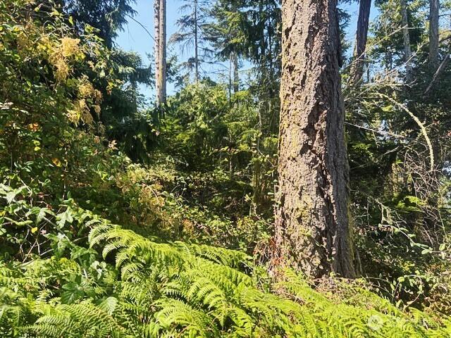 0 Spring View Park, Sequim, WA 98382 - photo 5