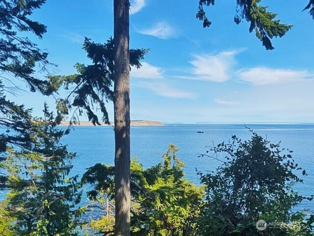 0 Spring View Park, Sequim, WA 98382 - photo 6