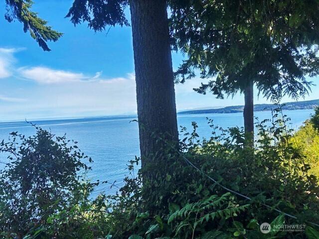 0 Spring View Park, Sequim, WA 98382 - photo 7