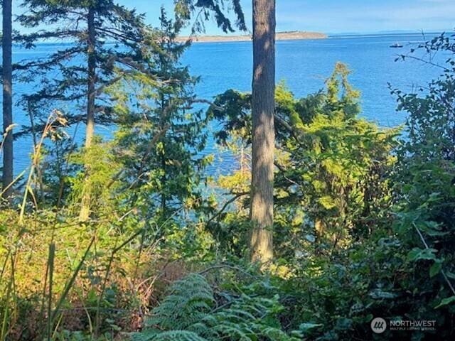 0 Spring View Park, Sequim, WA 98382 - photo 8
