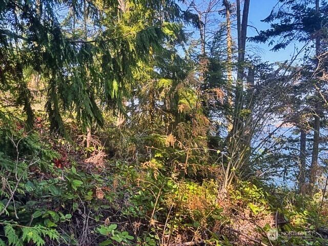 0 Spring View Park, Sequim, WA 98382 - photo 9