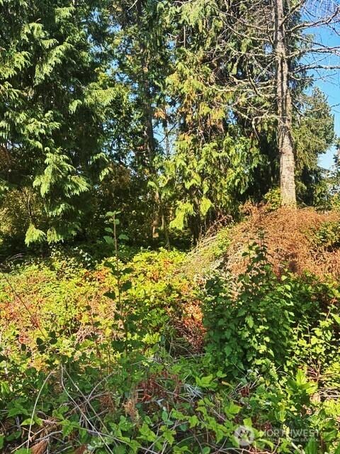 0 Spring View Park, Sequim, WA 98382 - photo 10