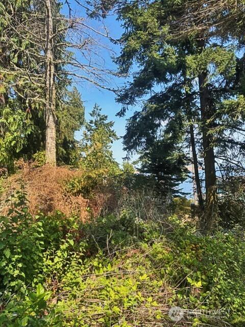 0 Spring View Park, Sequim, WA 98382 - photo 11