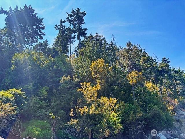 0 Spring View Park, Sequim, WA 98382 - photo 16