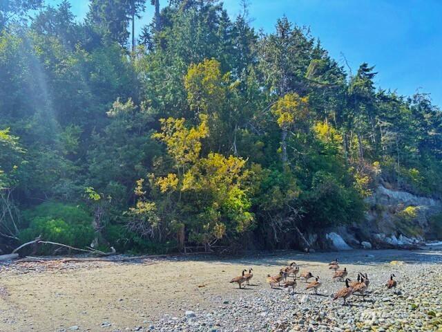 0 Spring View Park, Sequim, WA 98382 - photo 17