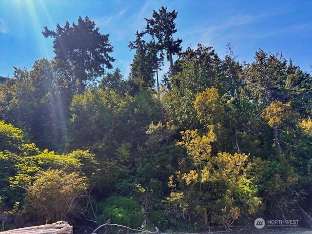 0 Spring View Park, Sequim, WA 98382 - photo 18