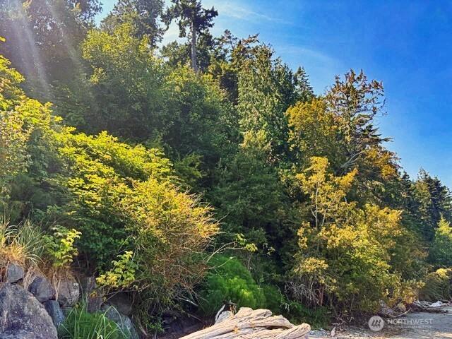 0 Spring View Park, Sequim, WA 98382 - photo 19