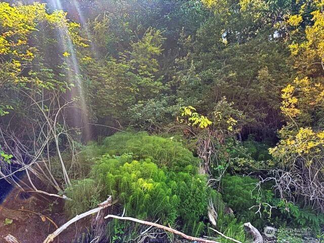 0 Spring View Park, Sequim, WA 98382 - photo 20