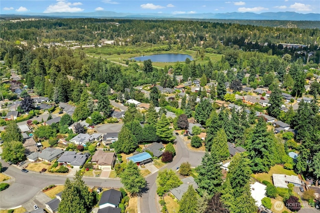 1023 144th Pl SE, Bellevue, WA 98007 - photo 37