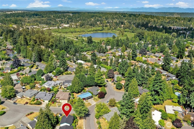 1023 144th Pl SE, Bellevue, WA 98007 - photo 38