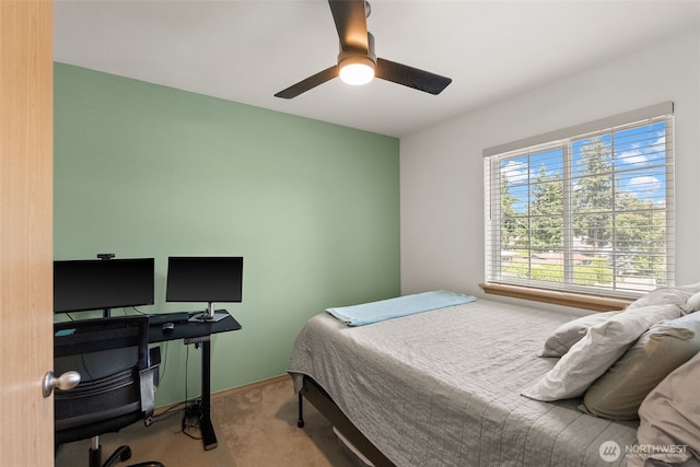 10102 Barnes Ln S, Tacoma, WA 98444 - photo 20