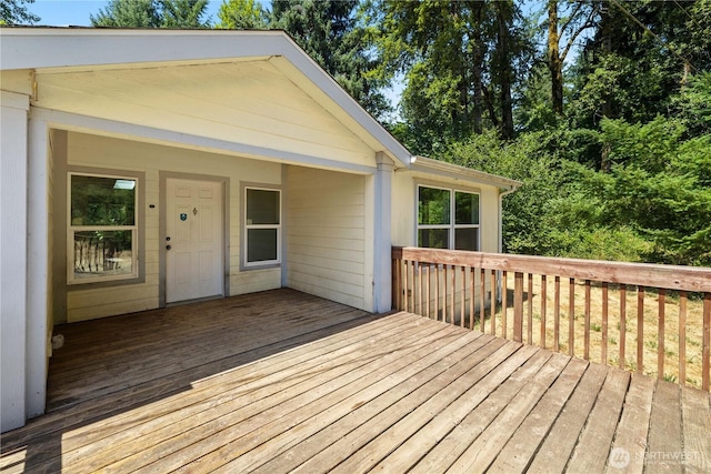 4916 Palermo Rosa Ln SW, Olympia, WA 98512 - photo 5