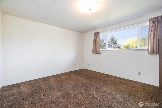708 Virginia St, Bellingham, WA 98225 - photo 12