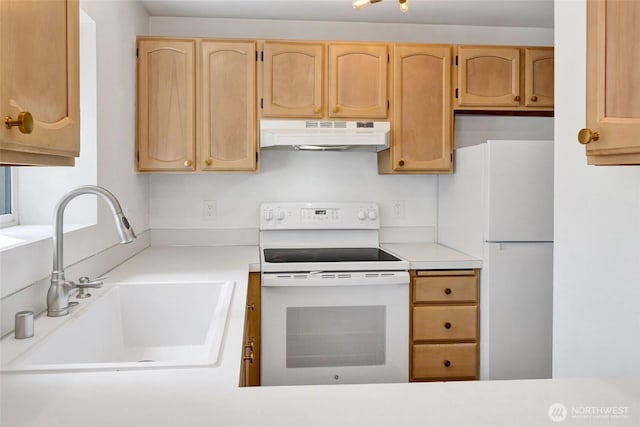1028 Billy Frank Jr St Unit 103, Bellingham, WA 98225 - photo 5
