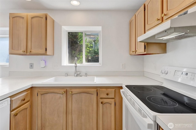 1028 Billy Frank Jr St Unit 103, Bellingham, WA 98225 - photo 6