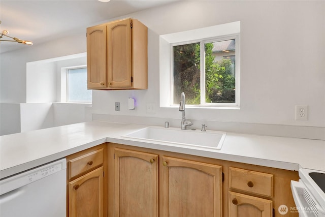 1028 Billy Frank Jr St Unit 103, Bellingham, WA 98225 - photo 7