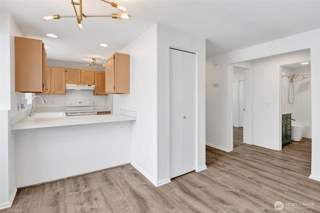 1028 Billy Frank Jr St Unit 103, Bellingham, WA 98225 - photo 12