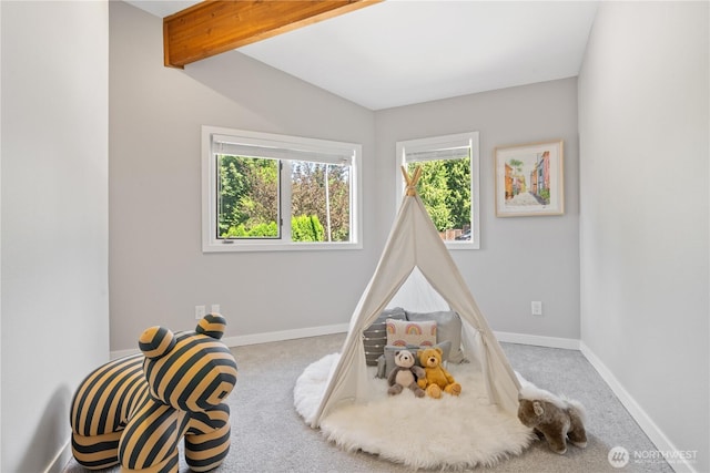 2205 135th Pl SE, Bellevue, WA 98005 - photo 23