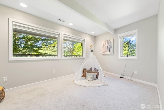 2205 135th Pl SE, Bellevue, WA 98005 - photo 26