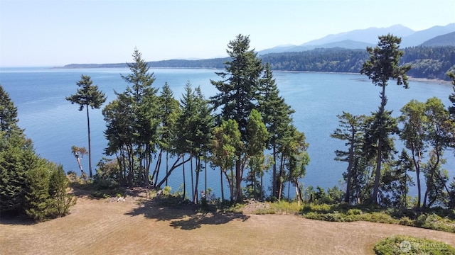 106 Seagull Dr, Port Angeles, WA 98363 - photo 13