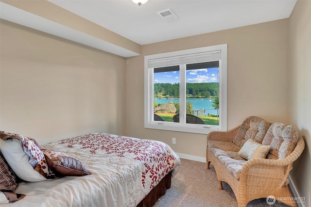 1794 Bayshore Rd, Lopez Island, WA 98261 - photo 23