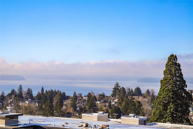 4517 44th Ave SW Unit A, Seattle, WA 98116 - photo 28