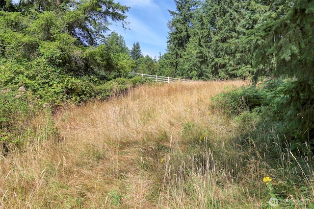 10212 Stedman Rd SE, Olympia, WA 98513 - photo 6