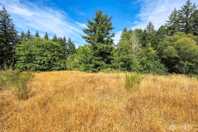 10212 Stedman Rd SE, Olympia, WA 98513 - photo 8