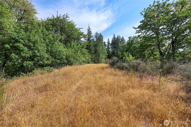 10212 Stedman Rd SE, Olympia, WA 98513 - photo 9