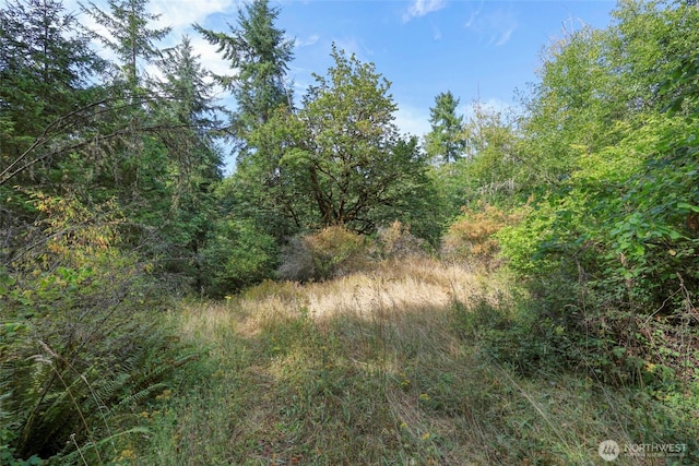 10212 Stedman Rd SE, Olympia, WA 98513 - photo 11