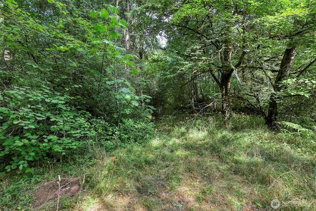 10212 Stedman Rd SE, Olympia, WA 98513 - photo 12