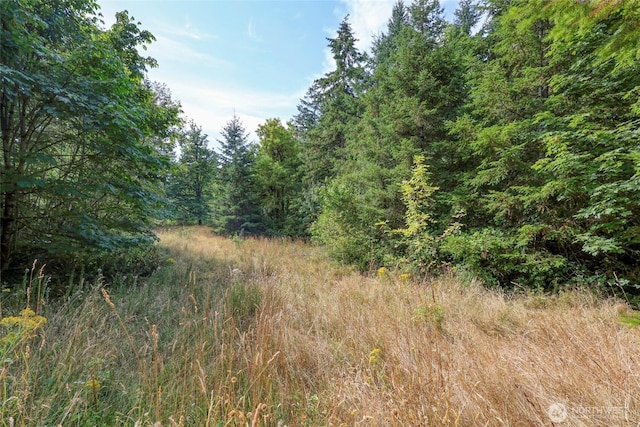 10212 Stedman Rd SE, Olympia, WA 98513 - photo 14