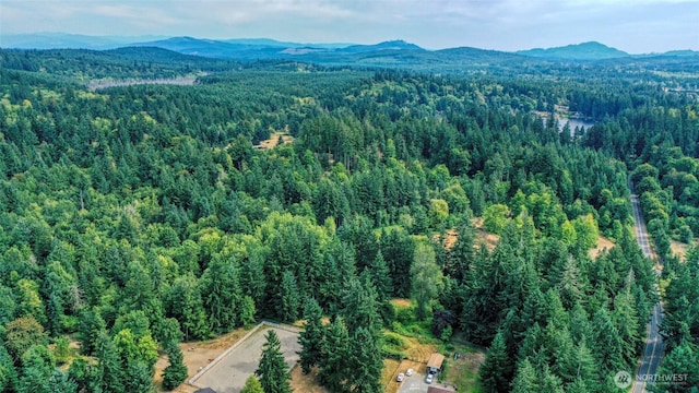 10212 Stedman Rd SE, Olympia, WA 98513 - photo 4