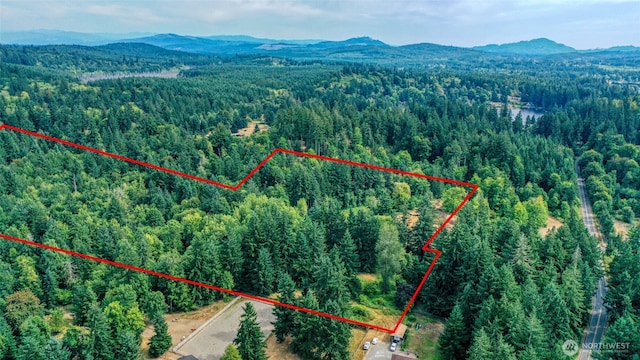 10212 Stedman Rd SE, Olympia, WA 98513 - photo 5