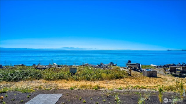 631 Freeman Ln, Point Roberts, WA 98281 - photo 5