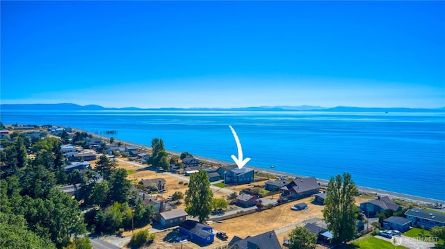 631 Freeman Ln, Point Roberts, WA 98281 - photo 39