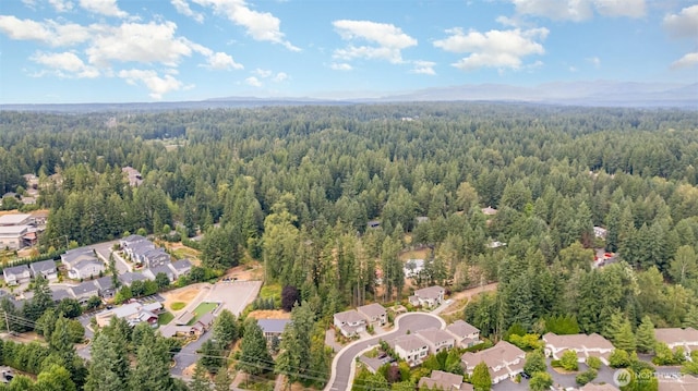 23612 SE 35th Ct, Sammamish, WA 98029 - photo 37