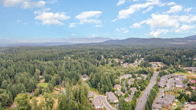 23612 SE 35th Ct, Sammamish, WA 98029 - photo 38