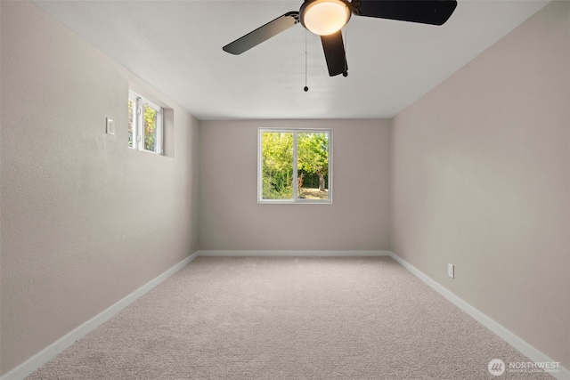 1604 Juniper St, Milton, WA 98354 - photo 18