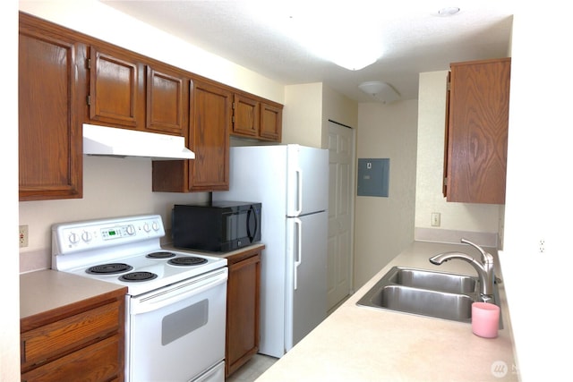2902 13th St Unit 3A, Everett, WA 98201 - photo 4