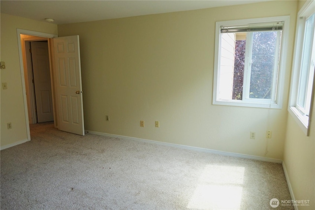 2902 13th St Unit 3A, Everett, WA 98201 - photo 8