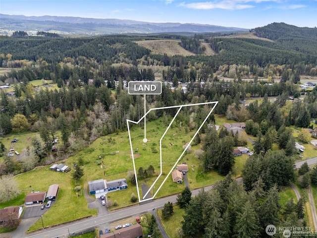 441 W Elma Hicklin Rd, Mccleary, WA 98557 - photo 15