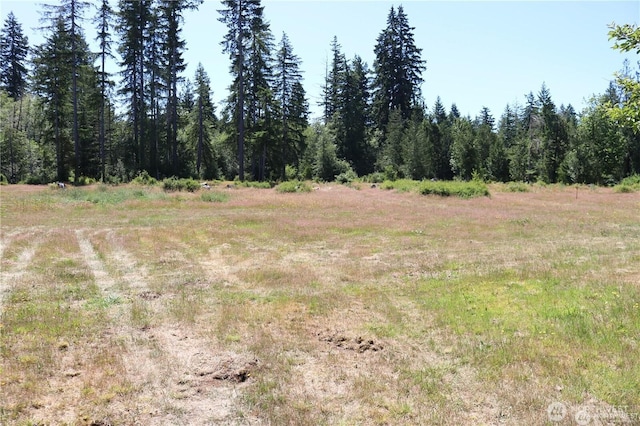441 W Elma Hicklin Rd, Mccleary, WA 98557 - photo 20
