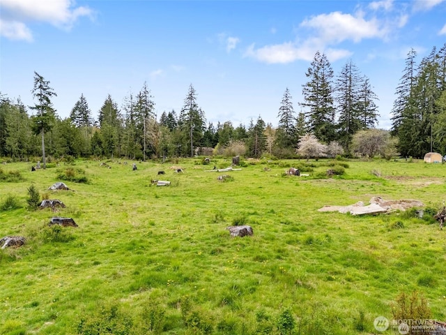 441 W Elma Hicklin Rd, Mccleary, WA 98557 - photo 23