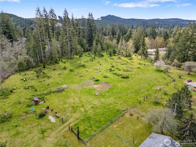 441 W Elma Hicklin Rd, Mccleary, WA 98557 - photo 25