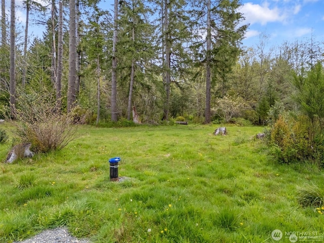 441 W Elma Hicklin Rd, Mccleary, WA 98557 - photo 27