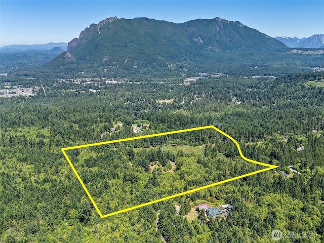 15901 Cedar Falls Rd SE, North Bend, WA 98045 - photo 1